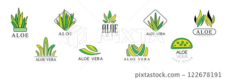 Aloe Vera Plant Logo Design Template Vector Set 122678191