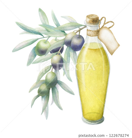 Olive oil in glass bottle with cork and label. Lush branch with green and black olives. Hand drawn watercolor isolated illustration for food production, oil bottle label, mediterranean cuisine design. Olive oil in glass bottle with cork and label. Lush branch with green and black olives. Hand drawn watercolor isolated illustration for food production, oil bottle label, mediterranean cuisine design. 122678274