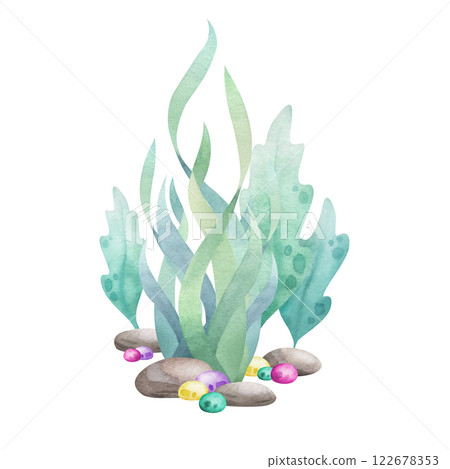 Seaweed, pebbles, stones and algae watercolor isolated illustration in cartoon style. Hand drawn sea underwater composition in green, yellow and pink colors for kids marine design and nautical print. Seaweed, pebbles, stones and algae watercolor isolated illustration in cartoon style. Hand drawn sea underwater composition in green, yellow and pink colors for kids marine design and nautical print. 122678353