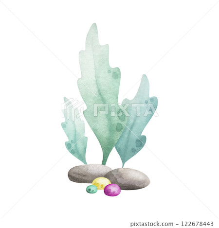 Seaweed, pebbles, stones and algae watercolor isolated illustration in cartoon style. Hand drawn sea underwater composition in green, yellow and pink colors for kids marine design and nautical print. Seaweed, pebbles, stones and algae watercolor isolated illustration in cartoon style. Hand drawn sea underwater composition in green, yellow and pink colors for kids marine design and nautical print. 122678443