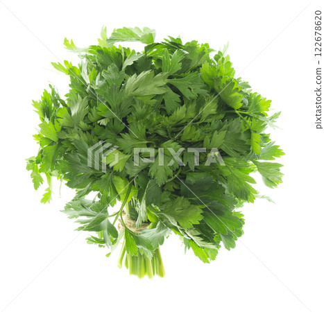 Parsley bunch Isolated without shadow on white. Parsley herb leaves. green sprig of parsley. Parsley bunch Isolated without shadow on white. Parsley herb leaves. green sprig of parsley. 122678620