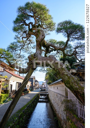 The streets of Kurayoshi City, Tottori Prefecture, where traditional buildings remain to this day, are lined with white-walled storehouses The streets of Kurayoshi City, Tottori Prefecture, where traditional buildings remain to this day, are lined with white-walled storehouses 122678827