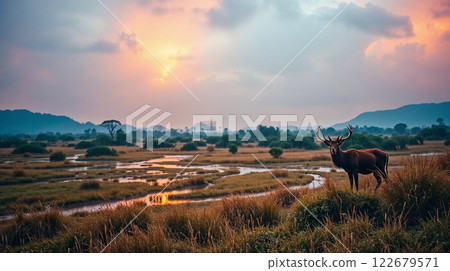 Majestic deer standing in wetland at sunset with hills in background 122679571
