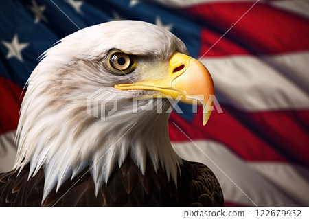 Bald Eagle over the flag of United States of America. Ai Generative 122679952