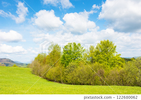 mountain meadow in forenoon light. outdoor adventure. countryside springtime landscape with forest on the grassy hill. fluffy clouds on a blue sky. nature freshness concept. sunny morning 122680062