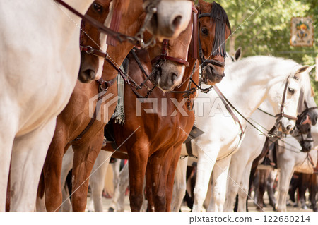 Elegant horses and riders at the vibrant Seville Fair 122680214