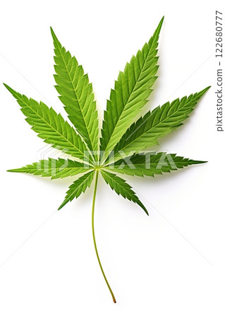 Marijuana, cannabis leaf isolated on white background. Ai generative 122680777
