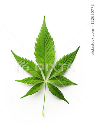 Marijuana, cannabis leaf isolated on white background. Ai generative 122680778