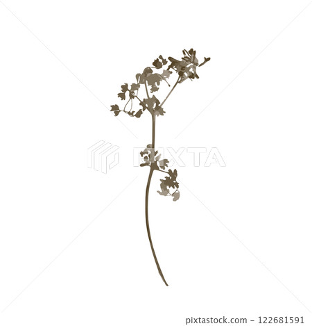 Rough edges brown dried floral sinlouette Rough edges brown dried floral sinlouette 122681591