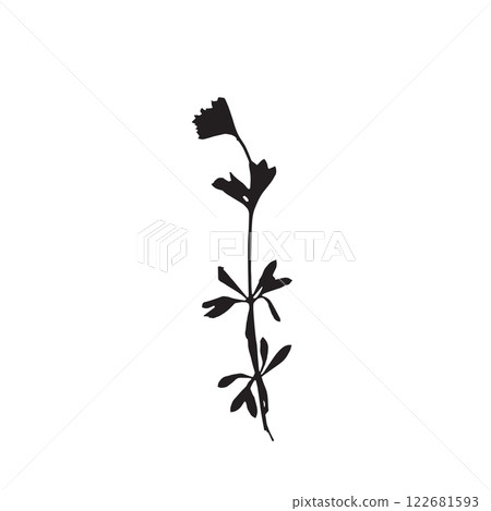 Rough edges dried floral sinlouette 122681593