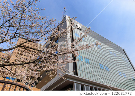 Tokyo University of Science Hospital (formerly Tokyo Medical and Dental University Hospital) and cherry blossoms in Bunkyo Ward, Tokyo 122681772