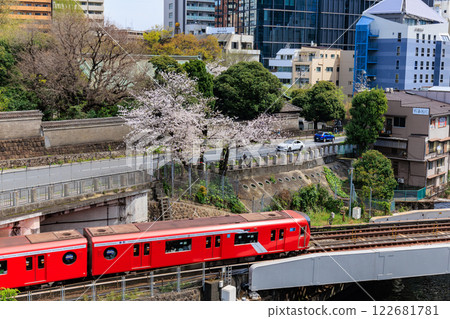 Tokyo Metro Marunouchi Line and cherry blossoms seen from Hijiri Bridge in Chiyoda Ward, Tokyo 122681781