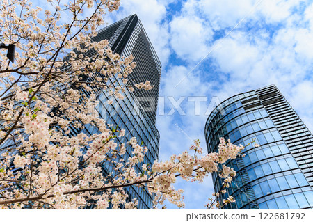 Cherry blossoms at Waterras in Kanda Awajicho, Chiyoda Ward, Tokyo 122681792