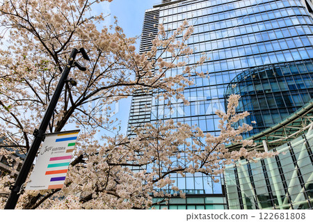 Cherry blossoms at Waterras in Kanda Awajicho, Chiyoda Ward, Tokyo Cherry blossoms at Waterras in Kanda Awajicho, Chiyoda Ward, Tokyo 122681808