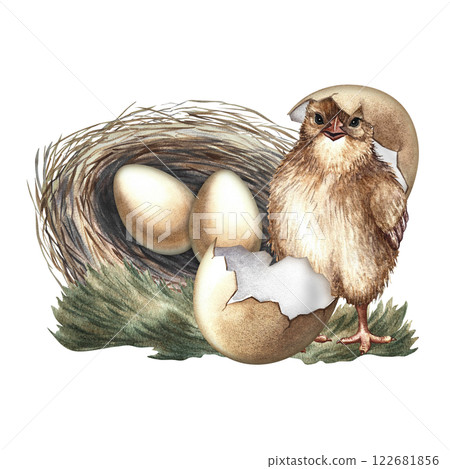 Cute little hatched chick next to the nest and eggs. A hand-drawn watercolor illustration. Highlight it. For greeting cards and Easter invitations, for packaging and labels, posters, sticker and print 122681856