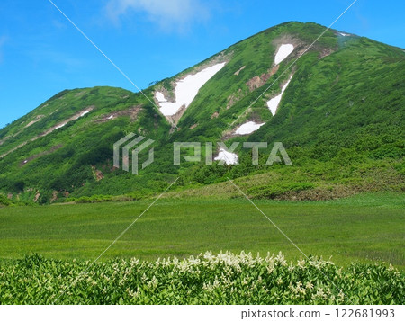 夏季的火內山和盛開著桔梗的天狗園 夏季的火內山和盛開著桔梗的天狗園 122681993