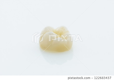 High-quality zirconia dental crown on white background. Dental ceramic crown professional dental lab 122683437