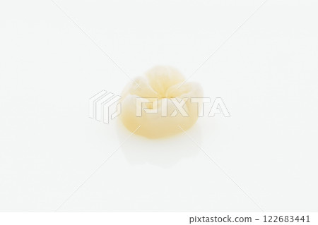 High-quality zirconia dental crown on white background. Dental ceramic crown professional dental lab High-quality zirconia dental crown on white background. Dental ceramic crown professional dental lab 122683441