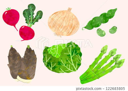 Spring vegetables 122683805