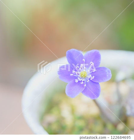 Cute snow race 122684695