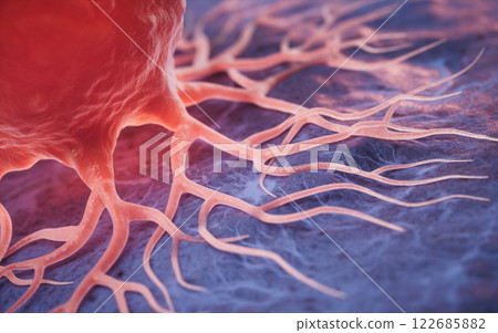 cancer, cells, biology 122685882