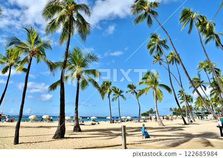 Holidays in Hawaii 122685984