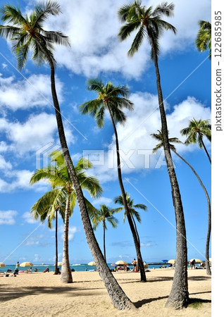 生長在海中的棕櫚樹 生長在海中的棕櫚樹 122685985