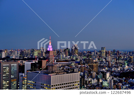 Evening view of the city from the Tokyo Metropolitan Government Observatory Evening view of the city from the Tokyo Metropolitan Government Observatory 122687496
