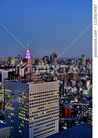Evening view of the city from the Tokyo Metropolitan Government Observatory 122687497
