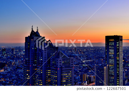 Evening view of the city from the Tokyo Metropolitan Government Observatory Evening view of the city from the Tokyo Metropolitan Government Observatory 122687501