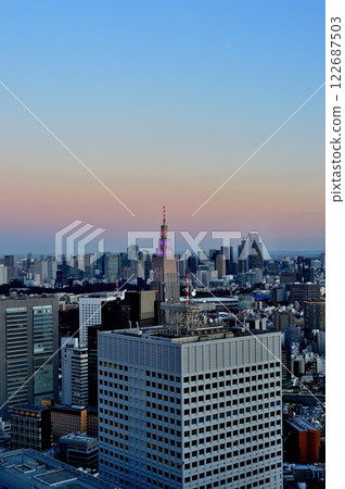 Evening view of the city from the Tokyo Metropolitan Government Observatory Evening view of the city from the Tokyo Metropolitan Government Observatory 122687503