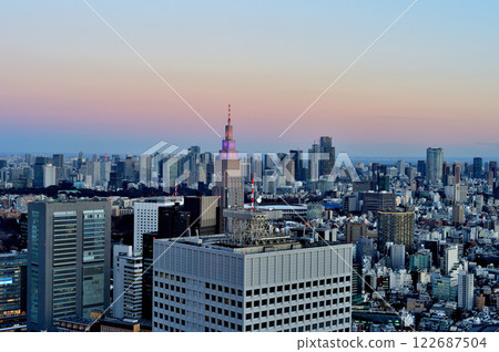 從東京都廳展望台看到的東京夜景 從東京都廳展望台看到的東京夜景 122687504