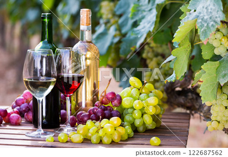 Wine and ripe grapes on wooden table in vineyard Wine and ripe grapes on wooden table in vineyard 122687562