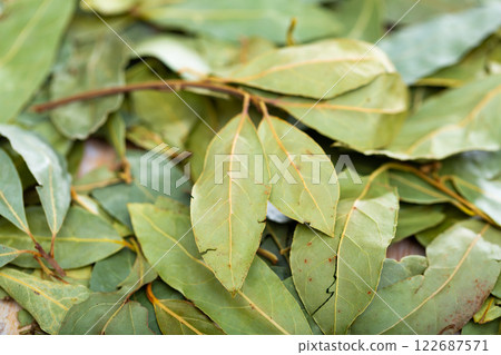 Image of bay leaves 122687571