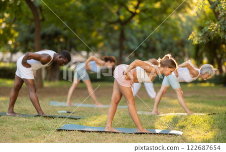 People of different ages and nationalities practice various yoga poses in summer garden 122687654