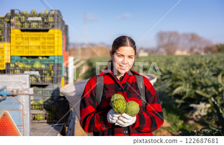 Woman harvesting ripe artichoke buds in basket Woman harvesting ripe artichoke buds in basket 122687681