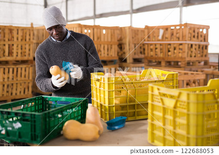 Focused african american man farmer cleans a pumpkin with a brush 122688053
