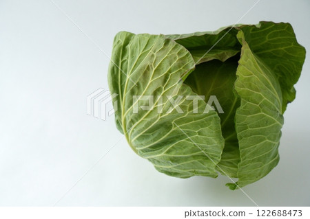 柔軟溫和的捲心菜形象 - 3:2 122688473