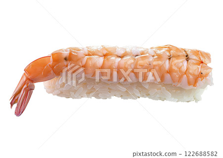 piece of nigiri sushi floating isolated background 122688582