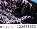 奧巴山的櫻花盛開 122688633