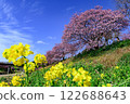河津櫻花 122688643
