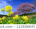 河津櫻花 122688645