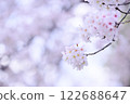 櫻桃樹 122688647