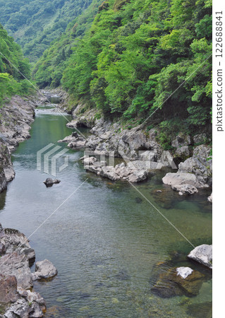 新綠的溪流（表引見峽：益田市） 122688841