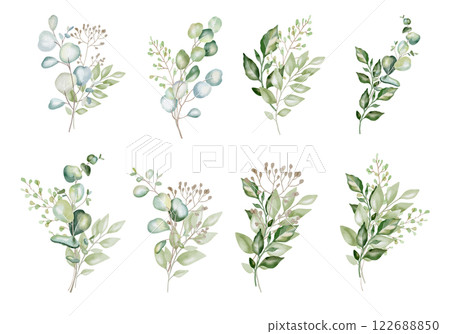 Hand-drawn watercolor illustration of eight elegant eucalyptus branches with lush, aromatic leaves. Perfect for wedding invitations, botanical prints, minimalist home decor, romantic greeting cards. 122688850