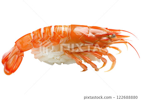 piece of crab nigiri sushi floating isolated background 122688880