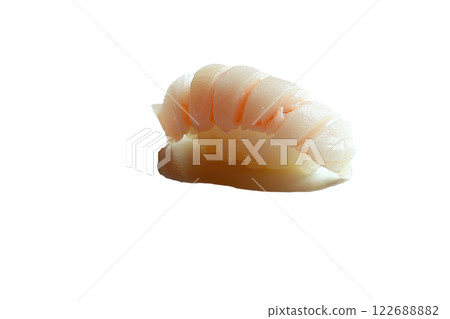 piece of crab nigiri sushi floating isolated background 122688882