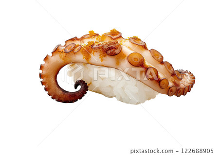 piece of octopus nigiri sushi floating isolated background 122688905