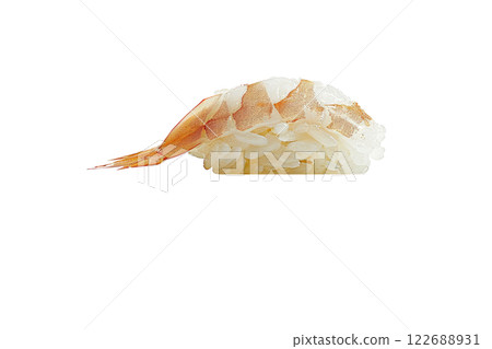 piece of nigiri sushi floating isolated background 122688931