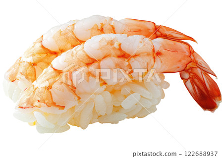 piece of nigiri sushi floating isolated background 122688937